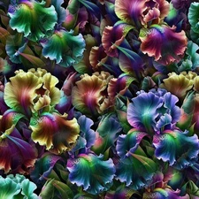 Neon Irises 43 - 18"x46" Hydrographic Film Hydro Dipping