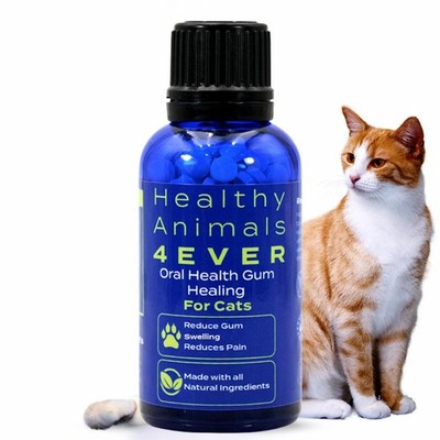 HA4E - Cat Oral Health - Relieves Inflammation, Soothes Pain & Fights Gum Dis...