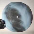 BEATLES REVOLUTION X-Ray USSR Record Roentgen Bone Ribs Music Vinyl