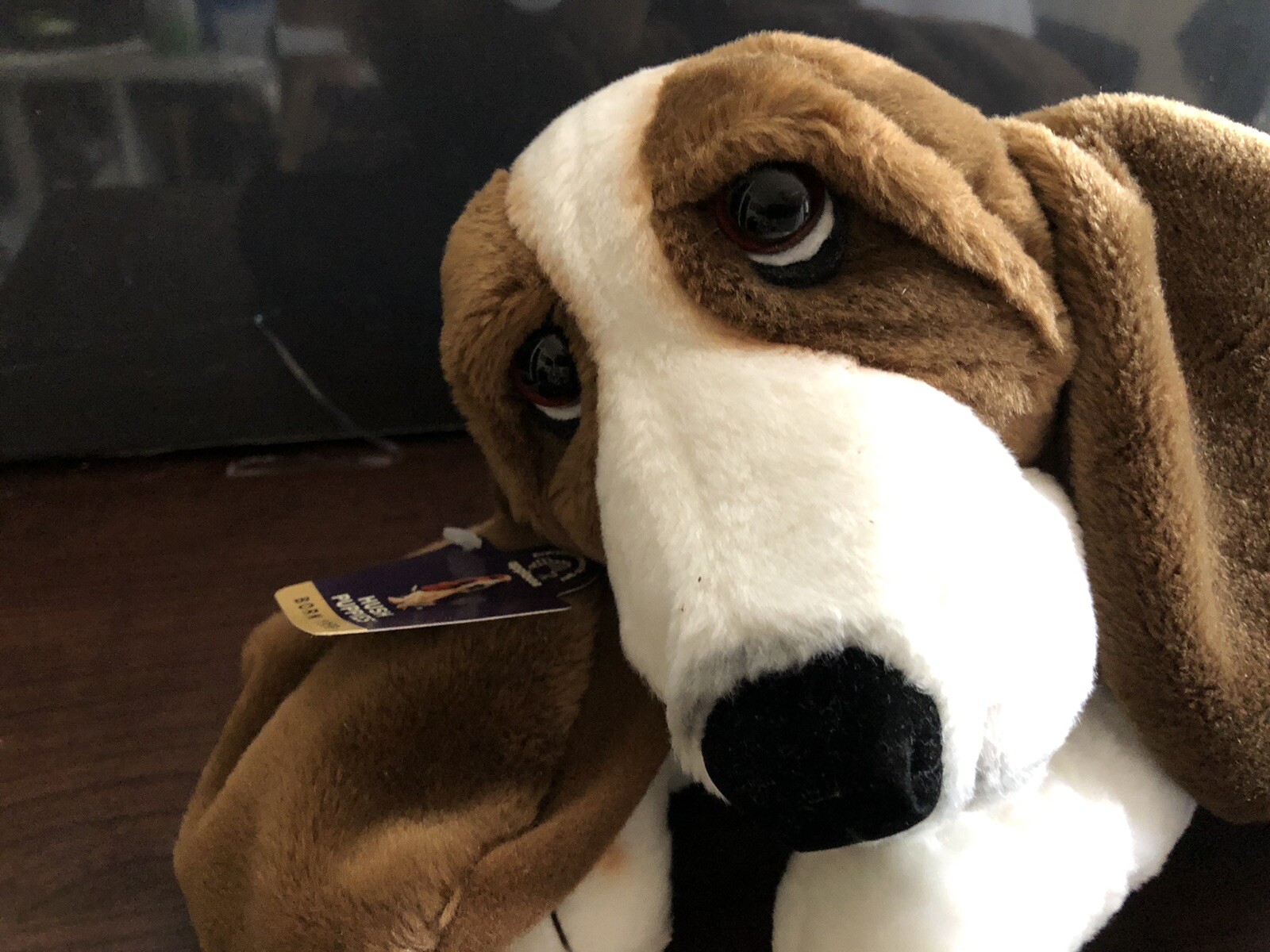 hush puppies plush
