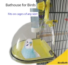 JW Pet Company Insight Bird Bath Bird Accessory, Multicolor