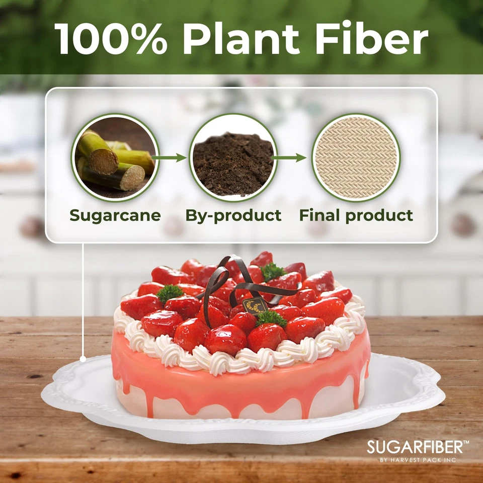 Platos de papel desechables compostables de fibra de azúcar de 10 pulgadas, blanco floral acanto... Foto 3 de 4