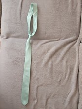 Men's light green, sage Elegance tie