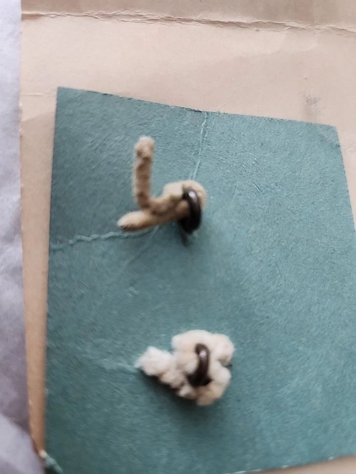 Antique Pewter? Metal Buttons Ornatur Radix Fronde Branch Of Palm - Image 4 of 4