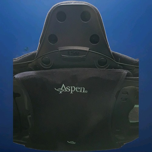 Aspen Vista 637 LSO Back Brace -Adjustable Post-Surgical Lumbar Support For Pain