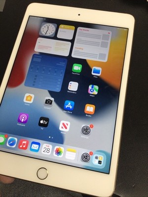 iPadmini4 本体 128GB cellular タイプ Amazon.com : Apple iPad Mini 4 128GB WiFi MK9N2LL/A Space Gray