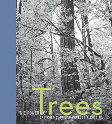 Thinking of Trees - HardBack NEW Gretchen C. Dai 2012-09-27