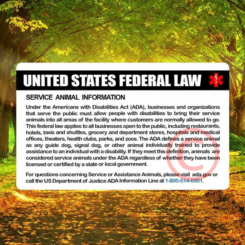 Service Dog Id Card Customized Holographic ESA  - USA FLAG SEAL  - Image 2 of 2