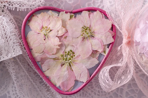 Dried Pressed Flowers Natural Epoxy Resin Candle Nail Art Scrapbooking Craft AU - Picture 99 of 210
