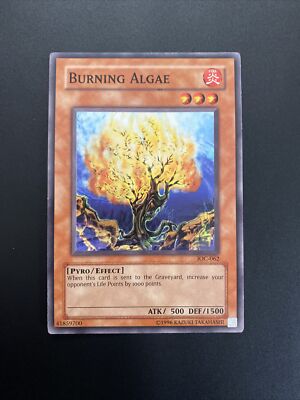 Yu-Gi-Oh! Common Invasion Of Chaos Ioc-062 Eng Burning Algae EX