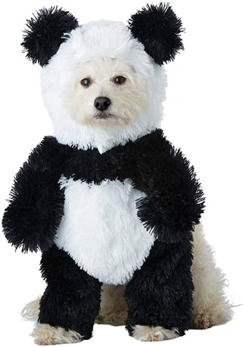 fluffy costume for dog