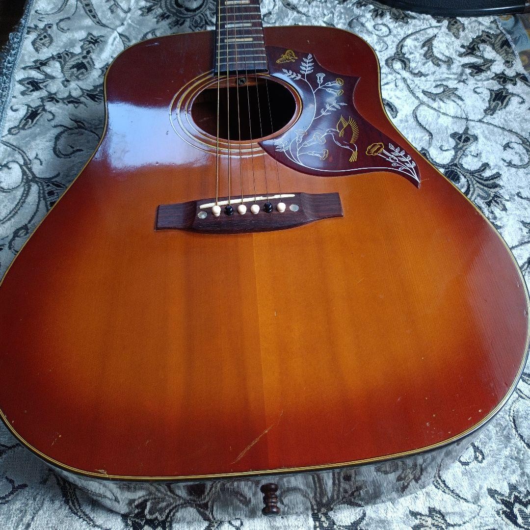 Acoustic Guitar Yamaki Humming Bird Model Cherry Sunburst