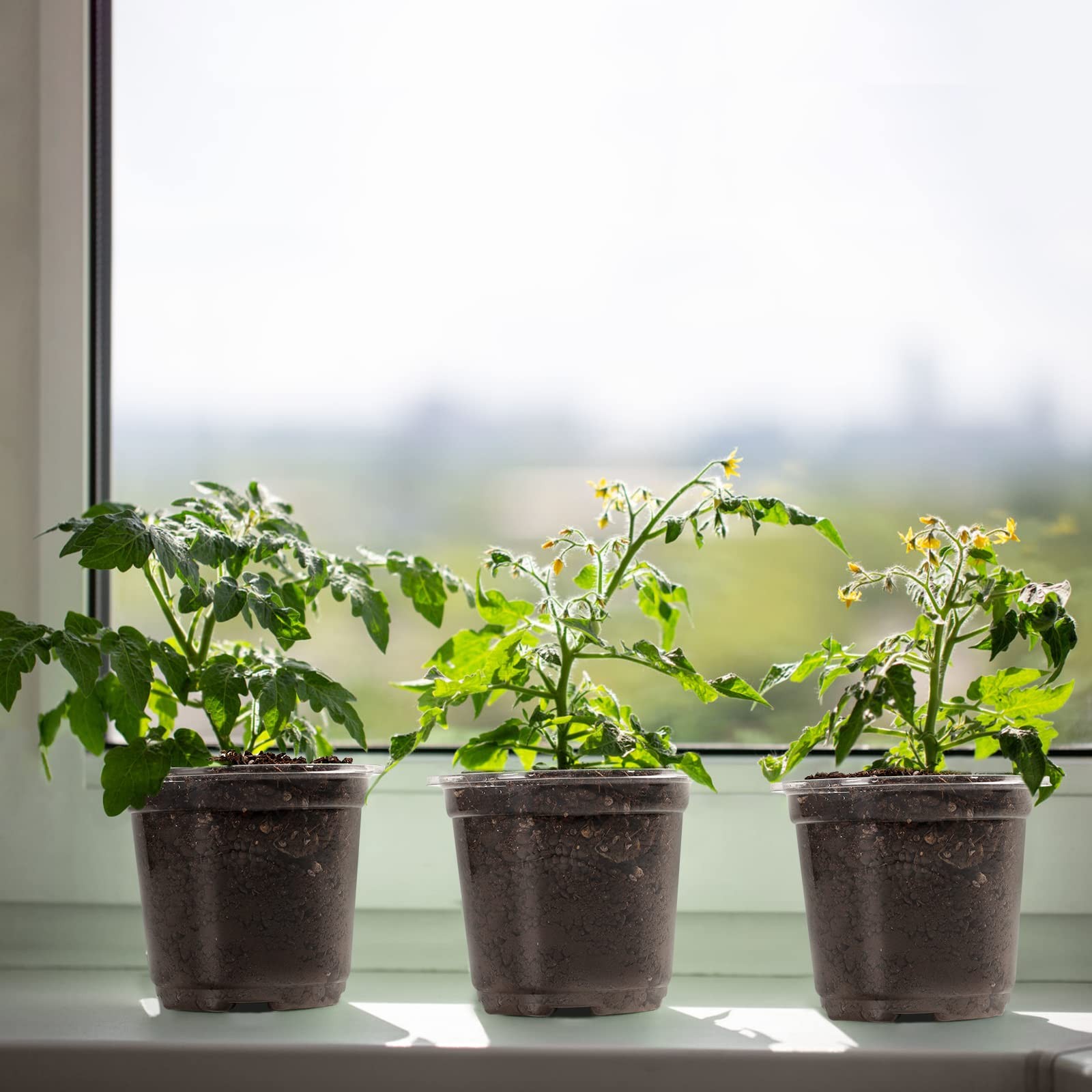 Clear Plant Nursery Pots with Humidity Dome 4"Soft Transparent Plastic Gardening