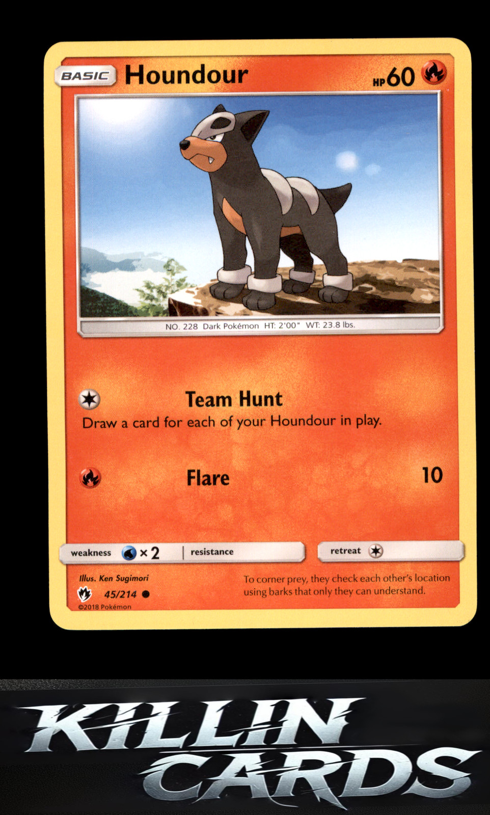 Houndour