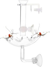 Shrimp Feeding Tube with Dish Mini Acrylic Feeder for Aquarium Fish Tank