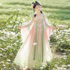 Chinese Style Hanfu Dress Set Traditional Flower Embroidery Dance Retro Robe