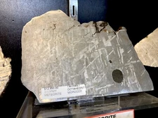 IRON METEOR SLICE METEORITE PIRATE GOLD COINS TREASURES OF SPACE OCTAHEDRITE