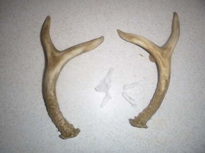Set of 2 Cabin Lodge 9 1/4'' Faux Deer Antler Cabinet Pull Right Left Wind River