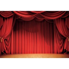 10x8 FT Red Curtain Backdrops Stage Drapes Curtains Panels Window Decor