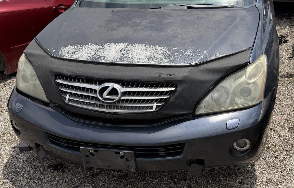 Additional Guards & Protection for Lexus RX330 for sale | eBay