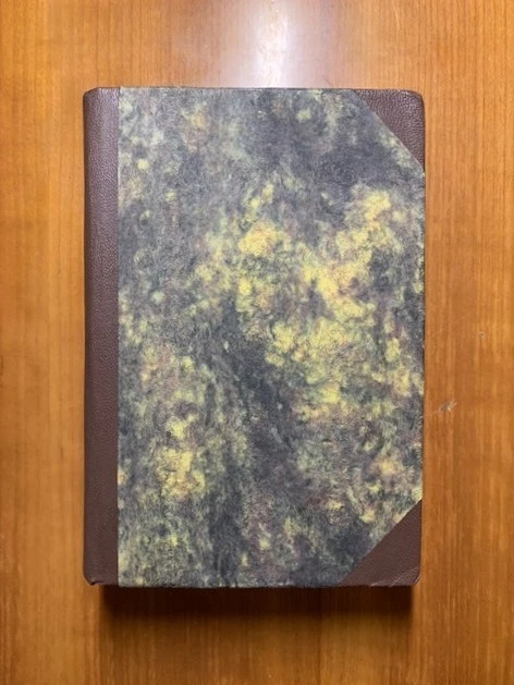 STRENNA:  Vocabolario Milanese-Italiano, F.sco Angiolini, 1897 Paravia, premiato - Immagine 2 di 3