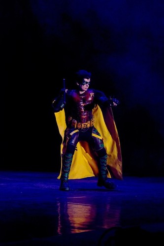 Robin cosplay full suit - Picture 6 of 14