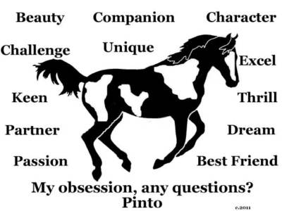 Pinto Horse My Obsession, Any Questions? T-shirt Choices