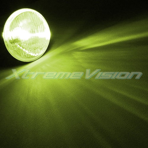 XtremeVision Xenon Replacement Bulbs H7 10K 30K 43K 3K 5K 6K 8K (1 pair) - Picture 11 of 23