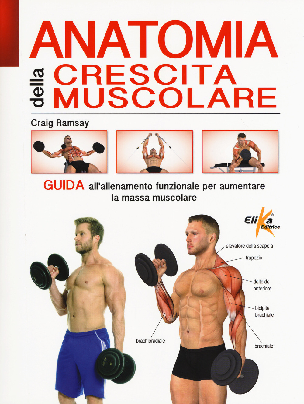 Libri Craig Ramsay - Anatomia Della Crescita Muscolare. Guida All'allenamento Fu