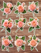 Peach Rose Die Cut Vinyl Stickers Scrapbooking Laptop Waterbottle