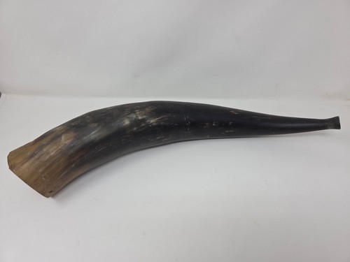 Curved Natural Viking War Horn Vessel Polished Dark Finish Tapered Tip