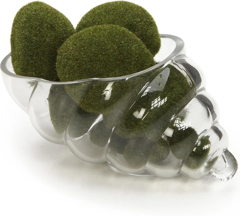 Jarrón con carcasa de vidrio de 8 pulgadas de largo ideal para bodas spa aromaterapia floral Foto 2 de 4