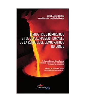 Industrie sidérurgique et le développement durable de la République démocrat