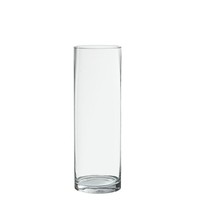 DRW Tischvase Aus Glas In Zylinderform, Transparent, 10 X 10 X 30 Cm