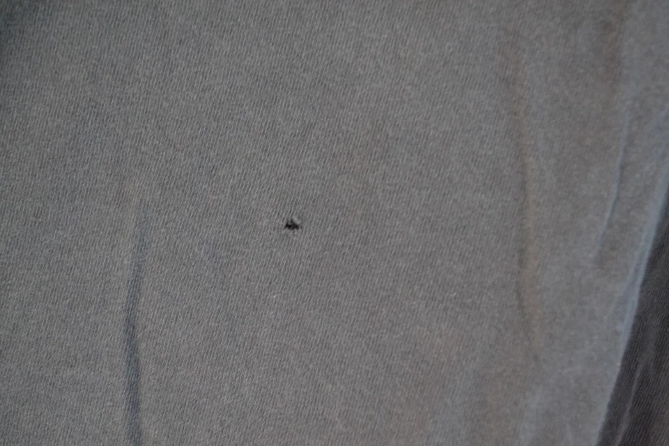 Vintage U.S Wing Chun kung Fu Academy San Francisco Dragon T Shirt Size L - Image 3 of 4