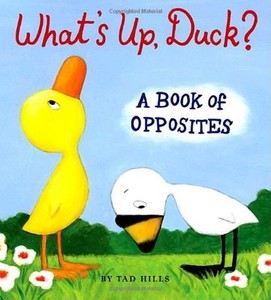 Whats-Up-Duck-A-Book-of-Opposites-Duck-amp-Goose-by-Tad-Hills