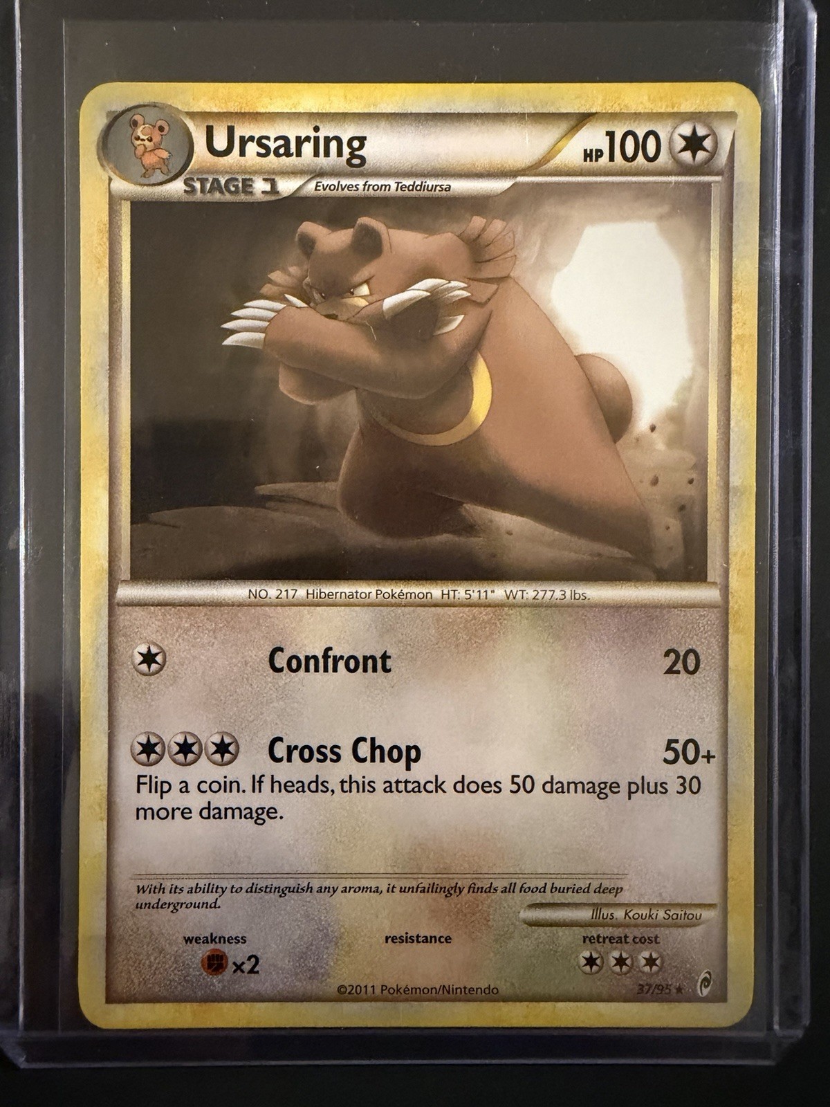 Ursaring 37/95 Call of Legends Regular Pokémon TCG