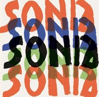 Sonia Delaunay Rachel Silveri