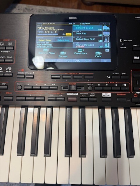 Korg PA4x 76-key Professional Arranger Keyboard FREE PROFESSIONAL