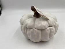 Connections Ceramic 6in Matte White Pumpkin Covered Bowl BB02B40022