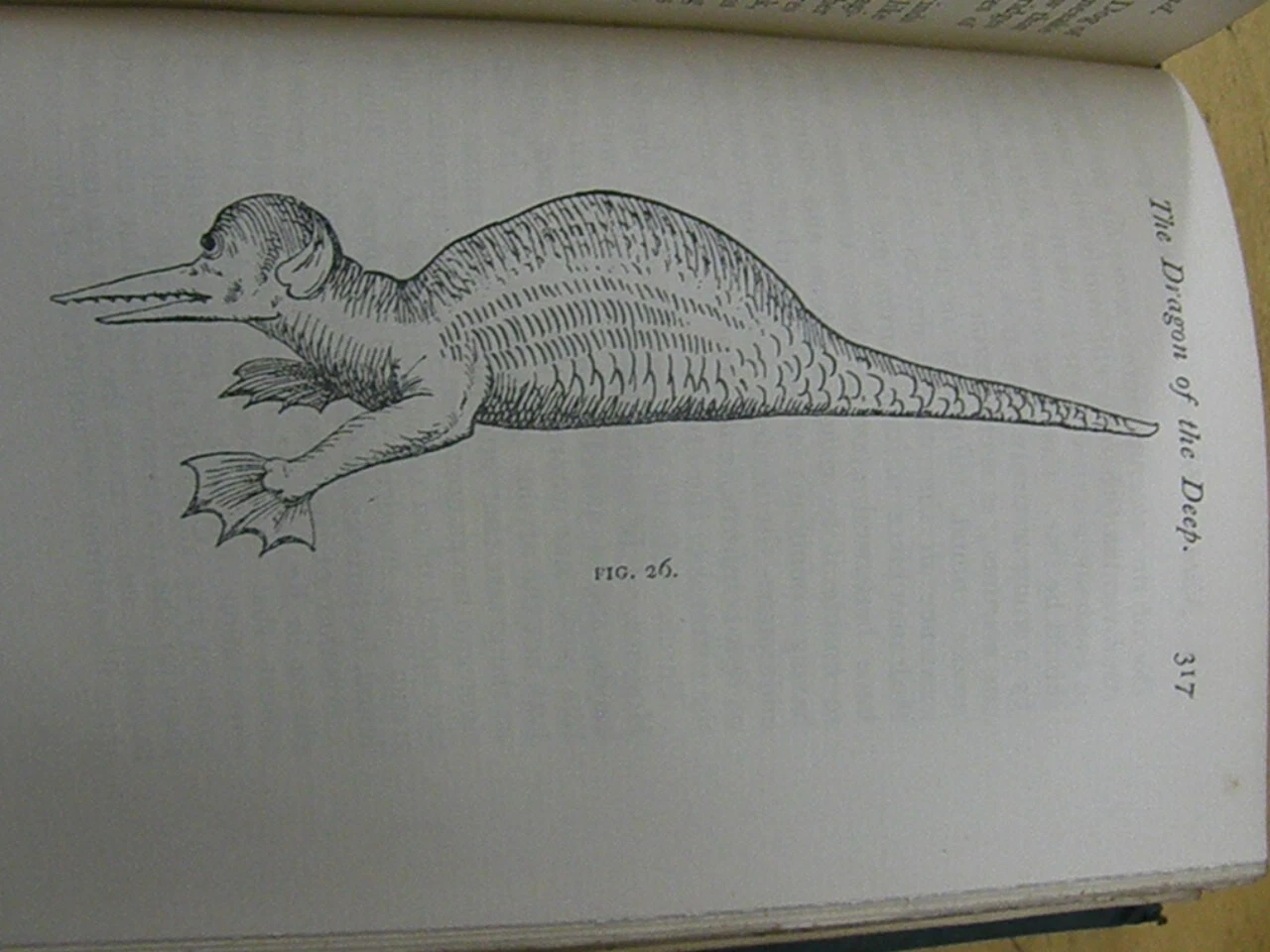 Picture 19 of 24