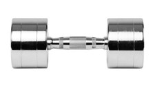 Everlast Unisex Chrome Dumbbell