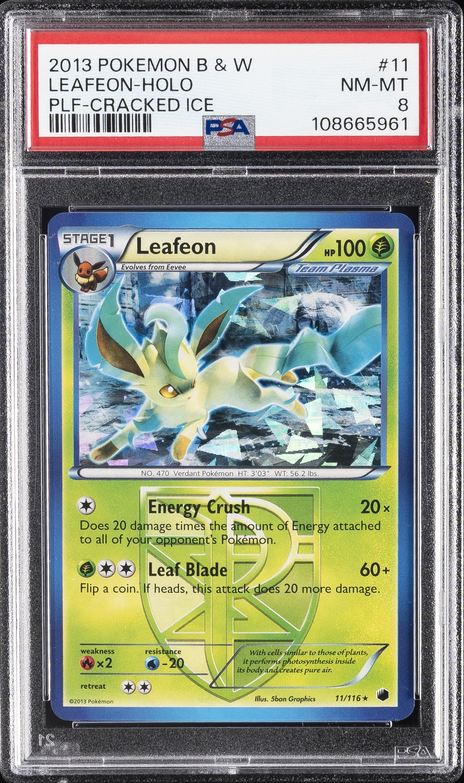 2013 POKEMON BLACK & WHITE PLASMA FREEZE CRACKED ICE #11 LEAFEON-HOLO PSA 8