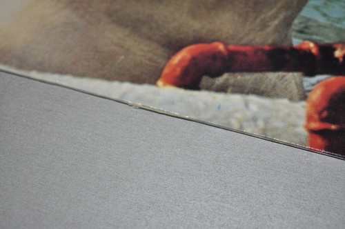 DASN WOSSM Eisbrecher BÜRO Records Düsseldorf Vinyl LP M- - 第 13/13 張圖片