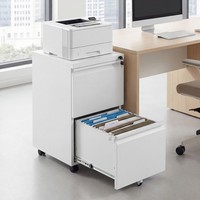 2-Drawer Mobile File Cabinet Rolling Metal Filing Cabinet with 5 Casters White