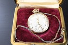 Elgin 12-Size Pocket Watch with Star Dial in its original box. w Chain — photo 2