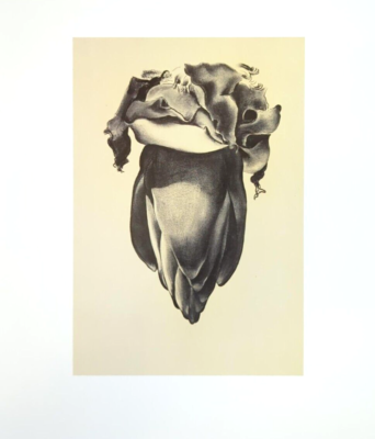 CLASSIC FLOWER アートブック CLASSIC FLOWER アートブック CLASSIC FLOWER アートブック CLASSIC