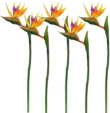 32'' Real Touch Bird of Paradise Artificial Flowers Bouquet Home Decor（5 Stems)