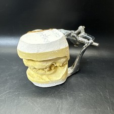 Full Mouth Teeth Mold Metal Jaw Dentures Impressions Oddity Macabre Halloween/ 3