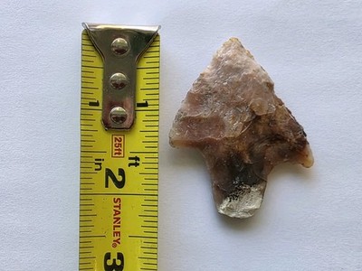 Florida Artifact Newnan Projectile Point Archaic Stemmed Heat Treated Chert 2.25